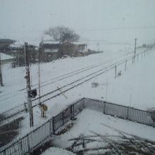 お店からは津軽鉄道が丸見え。