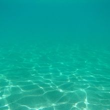 ハナウマ湾の水中写真、単なる砂の海