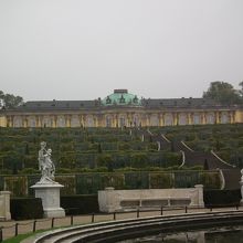 サンスーシ宮殿と階段状のブドウ畑