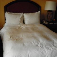 ツインベッドの一つ