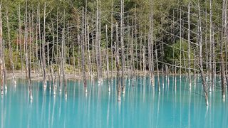 神秘的な藍さに・・・・・