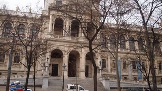 歴史ある名門のウィーン大学