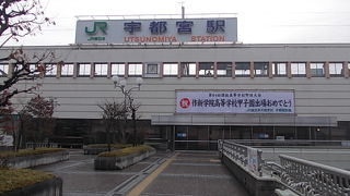 餃子とカエルさんのコラボ（？）が楽しめます