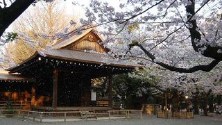 さくら祭り期間中は屋台がたくさん