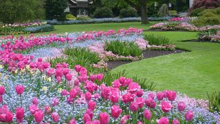 サイクリングでバンクーバーの自然を満喫