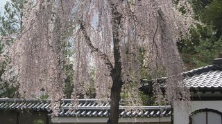 庭園が素晴らしい！