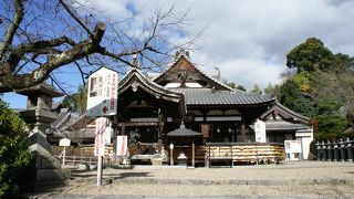 巨大な獅子にまたがった文殊菩薩像