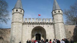 入口前の散歩道ニャ～