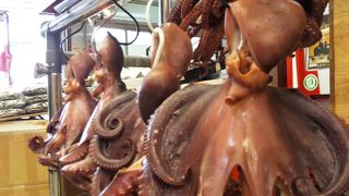 明石で魚介を買いたければここ。