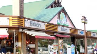 紀ノ川河口に広がる和歌山の町が見渡せるＳＡ