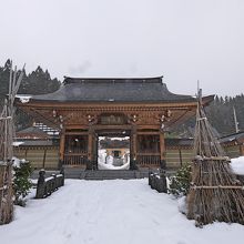 雪が降ってきた