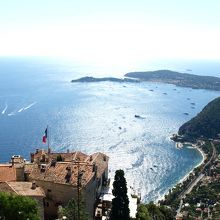 最もエズっぽい構図