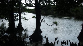 ゆったりとしたときが過ごせる