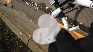 東京マラソンは、ここからスタートです。