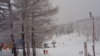 老舗のスキー場
