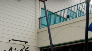 シーフードがおすすめ