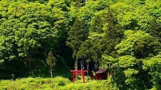 地元ヤンキーが荒らしました