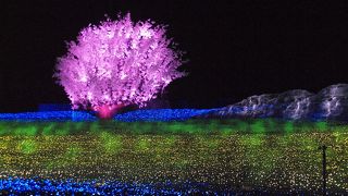 今冬のイルミネーション「日本の四季」