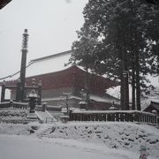 日光山輪王寺・三仏堂・・・雪煙る世界遺産！国重文の巨大な建物です。