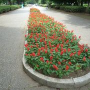 国分寺・小金井の公園は、ここ！