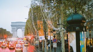 キラキラしてます☆