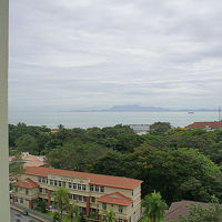 窓からは海も見えます