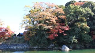 水面に映る紅葉に感動