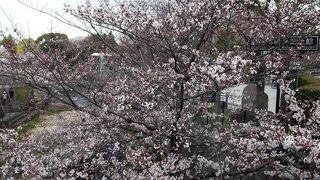 運河の歴史・・・