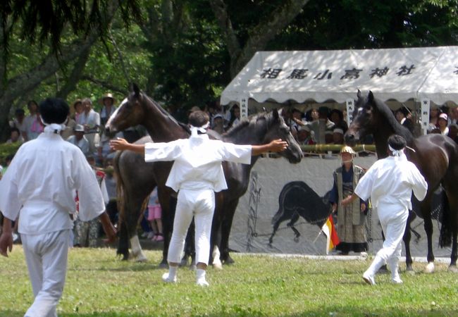 野馬懸