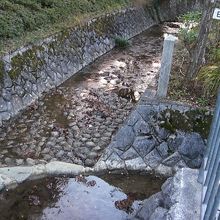 瀬戸内海か？日本海か？