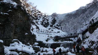 スノーモンキーに山登りして会いに行く