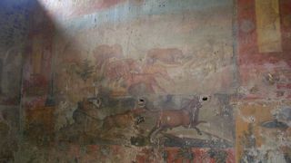 ここだけ違う雰囲気です