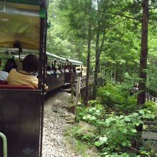 トロッコからの景色