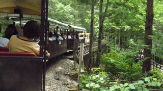 伊勢奉納の檜の森、トロッコ電車も楽しめる