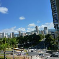 トランプ見えたよ。道路が見えたよ。