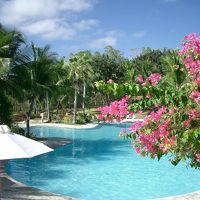 ホテルのプールです。