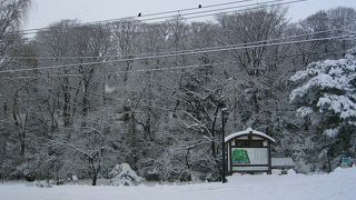 千秋公園　秋田駅から徒歩１０分