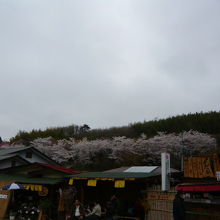 花見山近くの御茶屋さん