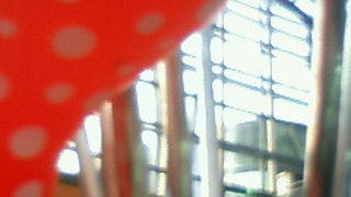 大阪で一番大きな美術館