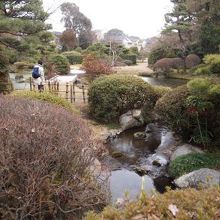 唯一中まで入ったお寺の庭