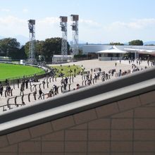 写真は東京競馬場です