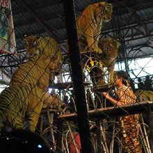 トラピラミッド