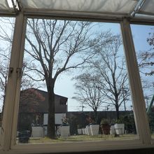 大きな窓からお庭を…