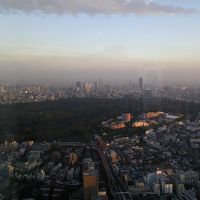 見てて飽きません！