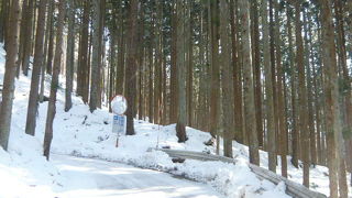 スノーモンキーホリデー観に(ミニ)バス (SnowMonkey Holiday minibus)