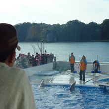 訓練中もみれます