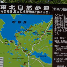 自然歩道の案内図