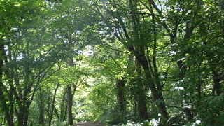 朝一番がおすすめ