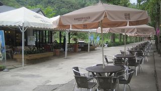 緑いっぱいの開放的な雰囲気の中、乳製品を楽しめます。