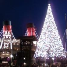 アメリカンウォーターフロントのクリスマスツリー